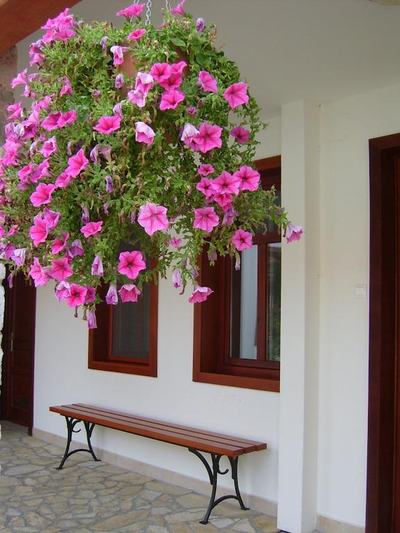 Varkert Panzio Maison d'hôtes 2*
